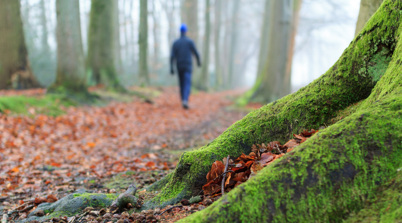 Mies kävelee syksyisessä metsässä.